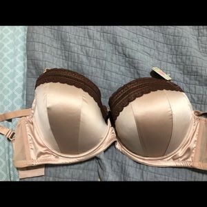 Parfait Bra Tan satin/brown lace. Size 40H